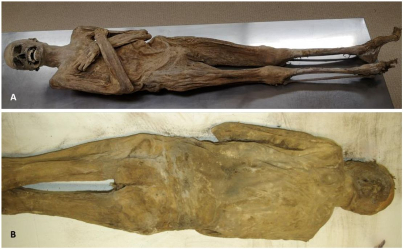 A mummy called the ‘air-dried chaplain’ has long been shrouded in mystery. Scientists say they now have answers