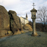 Он сотни раз вводил себе змеиный яд — и его кровь могла бы сделать прорыв в лечении змеиных укусов