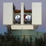 В США планируют разводить миллионы мух и сбрасывать их с самолетов. Вот почему