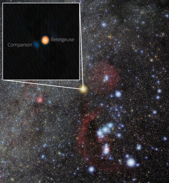 Betelgeuse, one of the most familiar stars in the sky, may have a hidden companion star orbiting it
