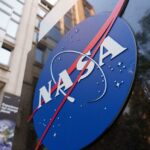 Революционное открытие: мотыльки прислушиваются к растениям и избегают шумных кустов