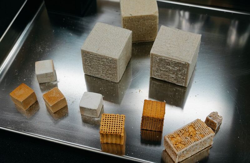 Когда-то грибы станут стройматериалом: вот исследователи, которые пытаются реализовать это