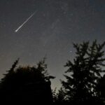 Революционное открытие: мотыльки прислушиваются к растениям и избегают шумных кустов