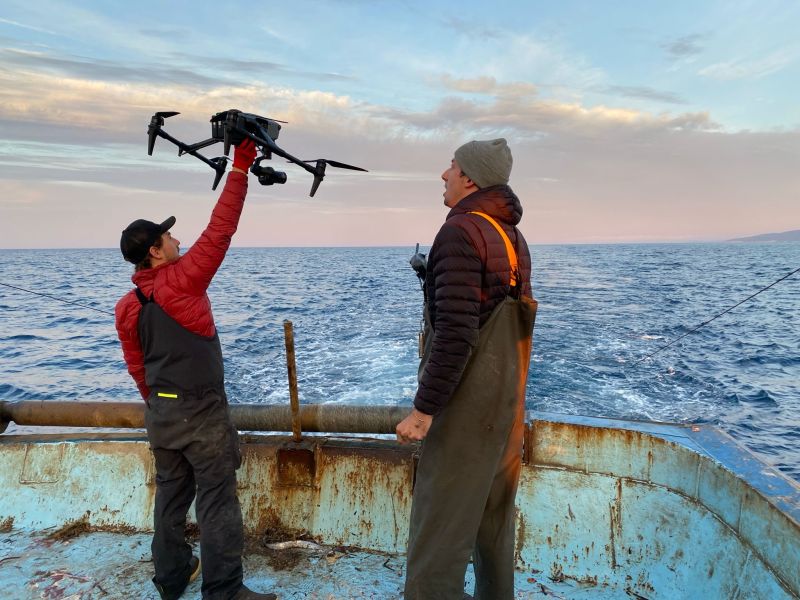 On his 99th birthday, David Attenborough’s ‘Ocean’ highlights ‘the most important place on Earth’