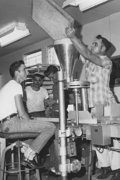 The US has a plan to breed millions of flies and drop them from planes. Here’s why