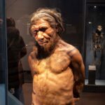 Ученые говорят, что они путешествовали по океану на глубоководном аппарате и наткнулись на неизведанную экосистему.