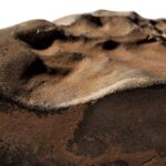 Персеиды устроили ночной фейерверк — не пропусти пик метеорного шоу!