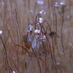 Исследование предполагает, что у людей, возможно, было конкурентное преимущество перед нашими древними родственниками.