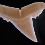 Бурение скважин на воду — этапы, технологии и советы специалистов