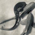 Первых в мире коал спасут от смертельного хламидиоза — вакцину уже испытывают!