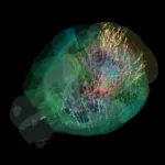 Ученые засекли «кольцо смерти»: Эйнштейн и Хокинг оказались правы