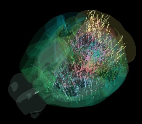 Учёные раскрыли шокирующую карту мозга, объясняющую, как мы принимаем решения — и это меняет всё!