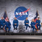 Первая в истории запись спаривания леопардовых акул в дикой природе показывает «секс втроем».