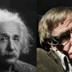 Первых в мире коал спасут от смертельного хламидиоза — вакцину уже испытывают!