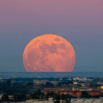 Как стартап из Техаса взорвал космос: Firefly совершила историческую высадку на Луну — и уже готовит ещё более смелые приключения