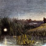 Драконий Метеорный Поток достиг пика на этой неделе — всё, что нужно знать прямо сейчас