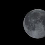 Ученые создают эффективные яйцеклетки из кожи человека — прорыв в лечении бесплодия