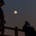 Модели эмбрионов, выращенных в лабораторных условиях, становятся все более реалистичными. Ученые все больше беспокоятся