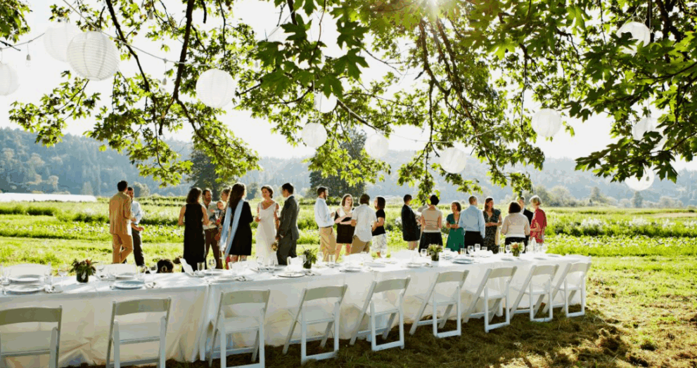 Проведение свадьбы - советы по выбору места и организации