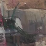 У енотов неисчерпаемый запас городских мусора. Новые данные указывают на то, что это может обеспечить их одомашнивание.