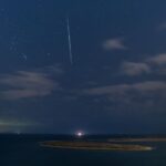 Некоторые виды летучих мышей могут светиться в ультрафиолетовом свете. Ученые не знают, почему