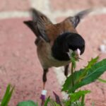 Она только что стала первым инвалидом-колясочником, отправившимся в космос