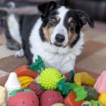 Птицы в колледже изменили форму ключа во время пандемии. Это может быть остановлено