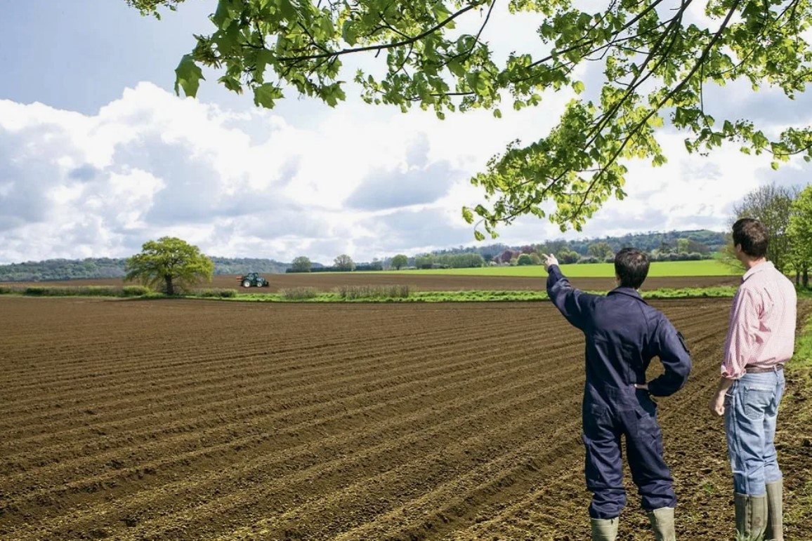 Внекорневые удобрения - цифровые технологии и оптимизация агропроизводства