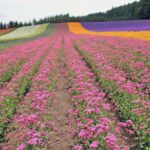 Эффективные полотенцесушители с современными технологиями и комфортом использования