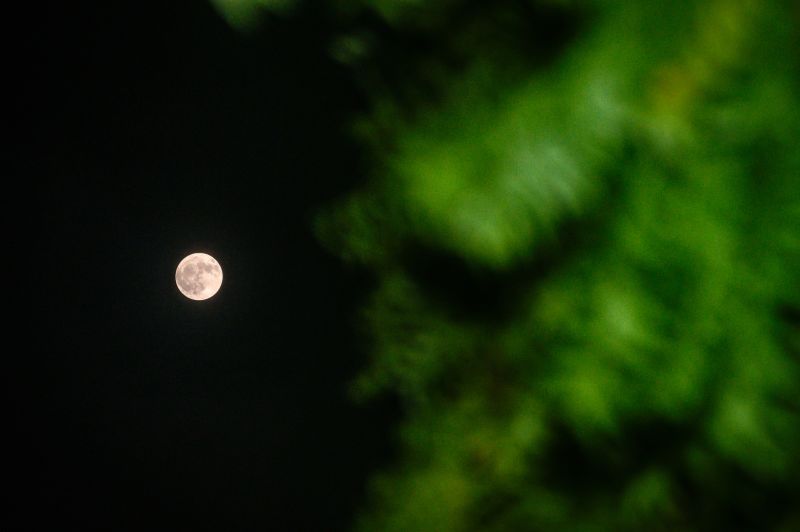 how-to-see-julys-full-buck-moon-251c45e-9808800-jpg
